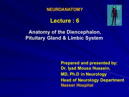 Anatomy of the Diencephalon,