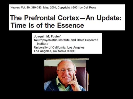 Background The physiology of the cerebral cortex is organized in hierarchical manner. The prefrontal cortex (PFC) constitutes the highest level of the.