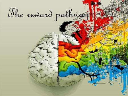 The reward pathway.  ensures beneficial behaviour  also called mesolimbic pathway  connected to:  ventral tegmental area  nucleus accumbens  prefrontal.