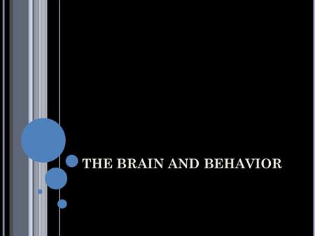 THE BRAIN AND BEHAVIOR. THE HINDBRAIN Medulla attaches to spinal cord; circulation, breathing, reflexes, muscle tone Pons, “bridge”, connects brainstem.