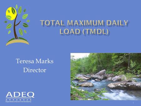 Teresa Marks Director 1. o The Clean Water Act of 1972 requires states to establish water quality standards (WQS) for all waterbodies within the state.