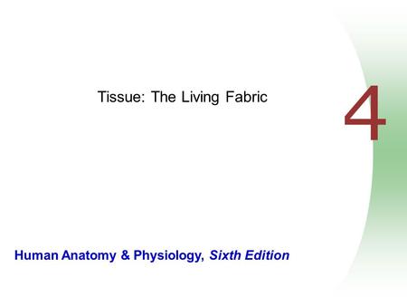 Human Anatomy & Physiology, Sixth Edition 4 Tissue: The Living Fabric.