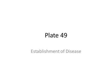 Plate 49 Establishment of Disease. Skin Epithelium – outer part of skin Epi: “on” Theli: “tissue” Densely packed cells protect body from invading pathogens.