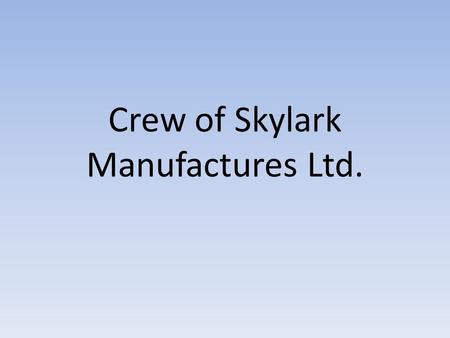 Crew of Skylark Manufactures Ltd.. Virág Muladi  Playing music makes life a euphonious concert.