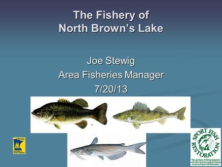 The Fishery of North Brown’s Lake Joe Stewig Area Fisheries Manager 7/20/13.