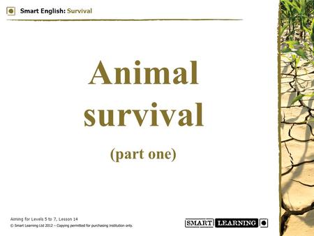 Aiming for Levels 5 to 7, Lesson 14 Smart English: Survival Animal survival (part one)