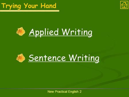 New Practical English 2 Trying Your Hand Applied Writing Sentence Writing.