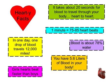 In one day, one drop of blood travels 12,000 miles! 1 minute = 75-85 heart beats Blood is about 78% water It takes about 20 seconds for blood to travel.