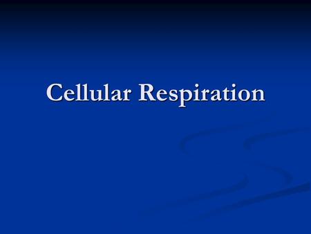 Cellular Respiration.