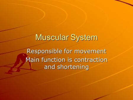 Responsible for movement Main function is contraction and shortening