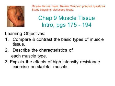 Chap 9 Muscle Tissue Intro, pgs 175 - 194 Learning Objectives: 1.Compare & contrast the basic types of muscle tissue. 2.Describe the characteristics of.