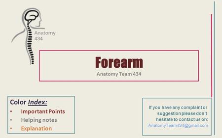 Forearm Color Index: Important Points Helping notes Explanation