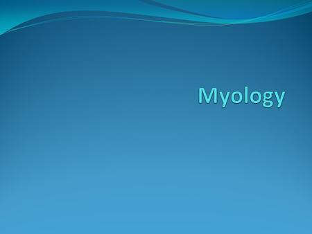 40-50% of body weight is made up of skeletal muscle. Study of skeletal muscle is termed myology. Each of the over 600 skeletal muscles can be thought.