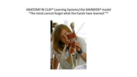 ANATOMY IN CLAY® Learning Systems/ the MANIKEN® model “The mind cannot forget what the hands have learned.”™