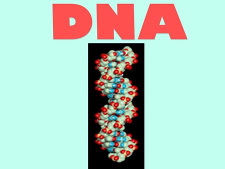 Defined: Molecule that stores genetic information Monomer: Nucleotide Millions of nucleotides bond to make nucleic acids Gene: section of DNA that holds.