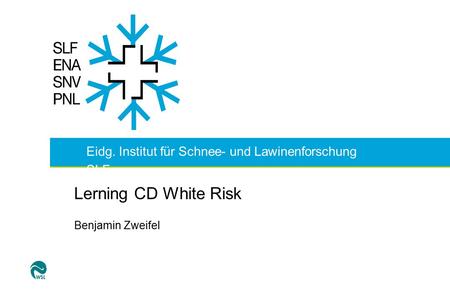 Eidg. Institut für Schnee- und Lawinenforschung SLF Lerning CD White Risk Benjamin Zweifel.