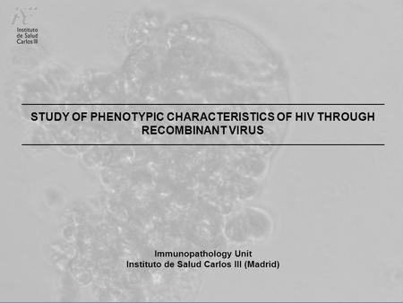 STUDY OF PHENOTYPIC CHARACTERISTICS OF HIV THROUGH RECOMBINANT VIRUS