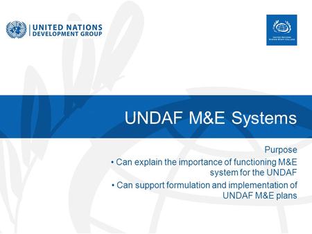 UNDAF M&E Systems Purpose Can explain the importance of functioning M&E system for the UNDAF Can support formulation and implementation of UNDAF M&E plans.