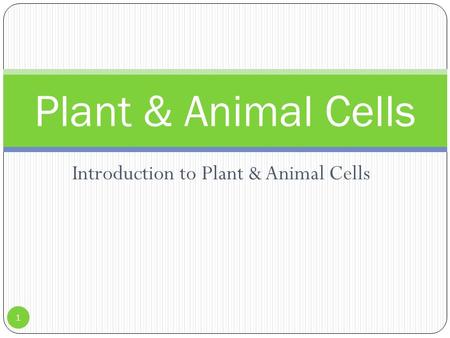 Introduction to Plant & Animal Cells Plant & Animal Cells 1.