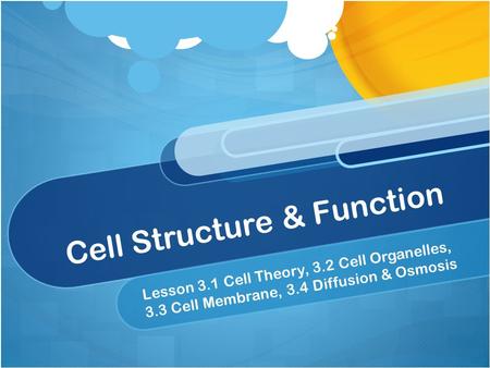 Cell Structure & Function