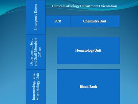 Emergency Room Immunology and Microbiology Unit Department Head and Staff Members Offices Clinical Pathology Department Orientation.