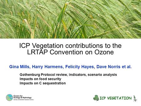 ICP Vegetation contributions to the LRTAP Convention on Ozone Gina Mills, Harry Harmens, Felicity Hayes, Dave Norris et al. Gothenburg Protocol review,