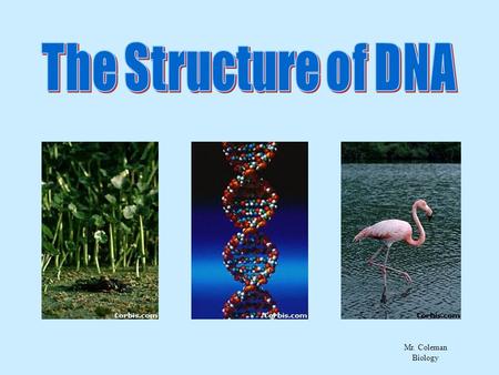 The Structure of DNA All life on earth uses a chemical called DNA to carry its genetic code or blueprint. In this lesson we be examining the structure.