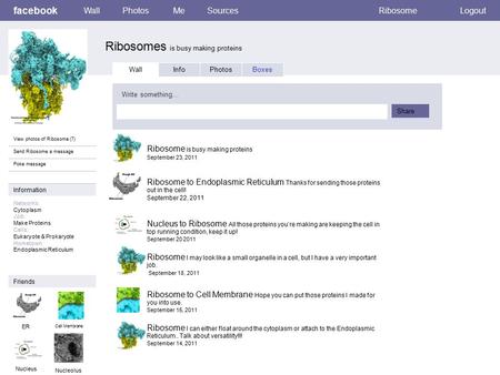 Ribosomes is busy making proteins