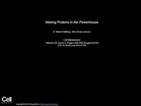 Making Proteins in the Powerhouse B. Martin Hällberg, Nils-Göran Larsson Cell Metabolism Volume 20, Issue 2, Pages 226-240 (August 2014) DOI: 10.1016/j.cmet.2014.07.001.