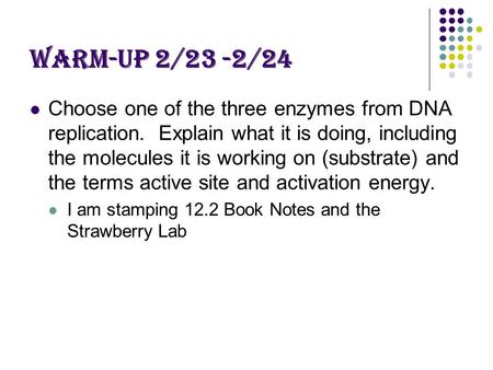 Warm-Up 2/23 -2/24 Choose one of the three enzymes from DNA replication. Explain what it is doing, including the molecules it is working on (substrate)