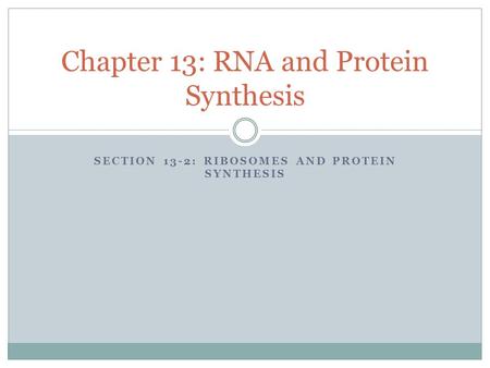 Chapter 13: RNA and Protein Synthesis