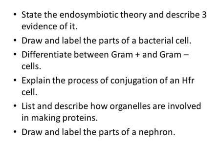 State the endosymbiotic theory and describe 3 evidence of it. Draw and label the parts of a bacterial cell. Differentiate between Gram + and Gram – cells.