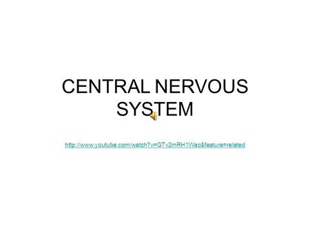 CENTRAL NERVOUS SYSTEM