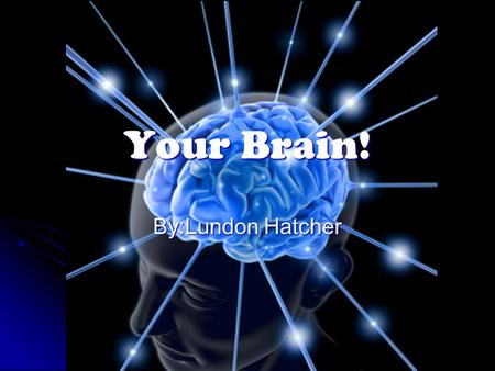 Your Brain! By:Lundon Hatcher.