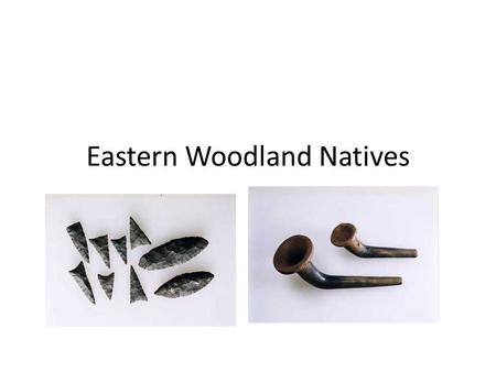 Eastern Woodland Natives. Where do they live? All of North America view Just Ontario And some USA view The people of the Eastern Woodlands are classified.