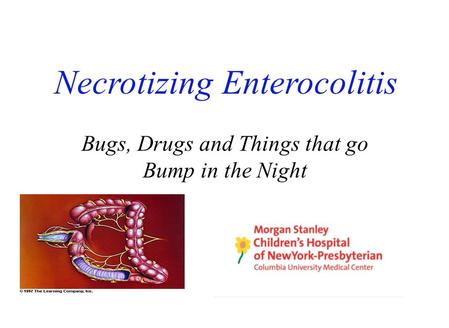 Necrotizing Enterocolitis Bugs, Drugs and Things that go Bump in the Night.