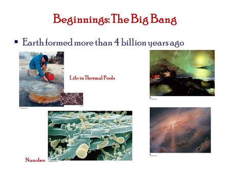 Beginnings: The Big Bang  Earth formed more than 4 billion years ago Nanobes Life in Thermal Pools.