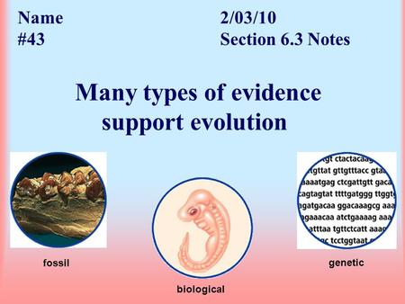 Name. 2/03/10 #43. Section 6. 3 Notes. Many types of evidence