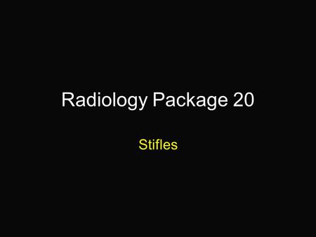 Radiology Package 20 Stifles. 6-year old German Shepherd “Foxy” Hx:Bilateral hip dysplasia. Lame in the left hind for 6 weeks. Palpable cranial drawer.