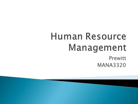 Prewitt MANA3320.  Staffing and Selection  Talent Management  Employee Development  Strategic Partner  Employee Initiatives  Motivation/Efficiency.