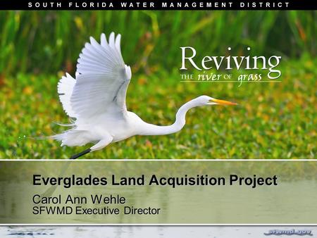 Everglades Land Acquisition Project Carol Ann Wehle SFWMD Executive Director.