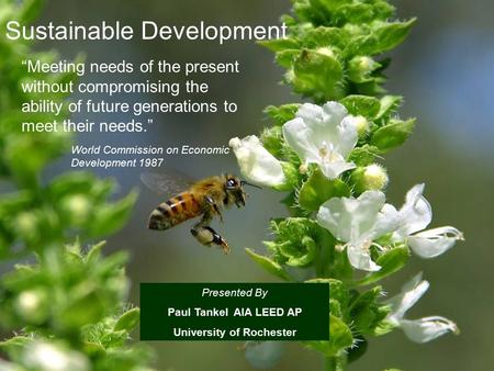 Sustainable Development “Meeting needs of the present without compromising the ability of future generations to meet their needs.” World Commission on.