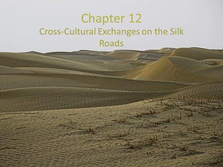 Cross-Cultural Exchanges on the Silk Roads