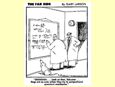 Wednesday, March 5 th : “A”Day (Blood Dive) Thursday, March 6 th : “B” Day Agenda  Homework questions/collect  Sec. 13.4 Quiz: “Solubility and the.