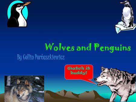 Wolves and Penguins By Collin Portaszkiewicz Watch it buddy!