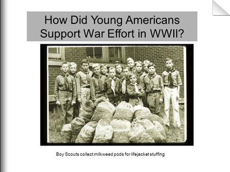 How Did Young Americans Support War Effort in WWII? Boy Scouts collect milkweed pods for lifejacket stuffing.