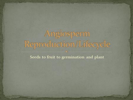 Seeds to fruit to germination and plant. The process by which pollen (a male haploid gametophyte) is transferred from the anther to the stigma enabling.