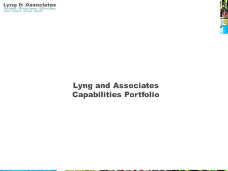 Lyng and Associates Capabilities Portfolio. Overview At Lyng and Associates, all of our efforts, services and final products are directed towards the.