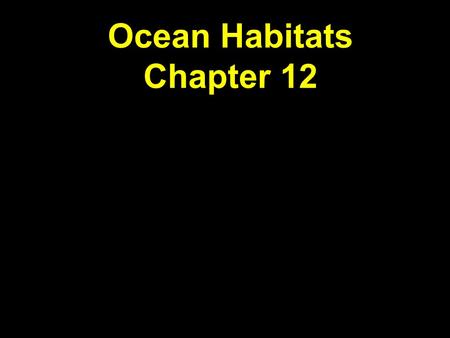 Ocean Habitats Chapter 12. Animals of the Benthos  98% of marine species are benthic  Hydrothermal vents  Rocky shore  Coral reefs.