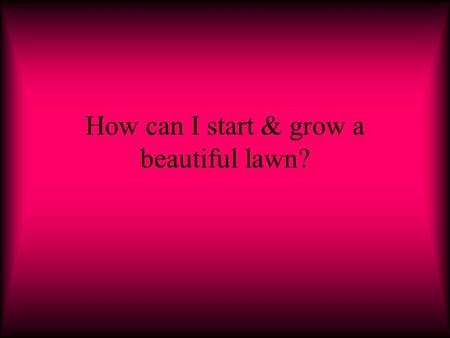 How can I start & grow a beautiful lawn?. Location/Original Characteristics Its located at Adam’s house in one of his lots 1.Its about 100ft long by 70.